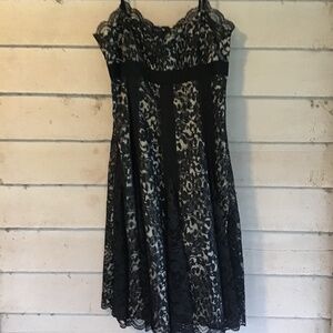 NWT DKNY for Betsey Johnson fans, gorgeous lace & leopard strappy dress! Sz 10